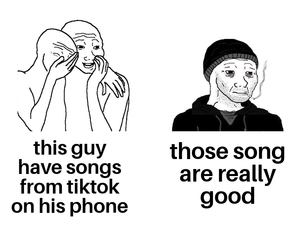 TikTok meme