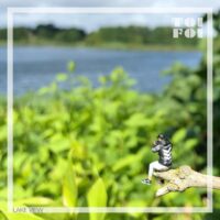 Toifoi Lake View