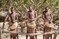 cross-cultural perception of music