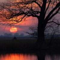 Stræpa x Korlofi - Sestorlo