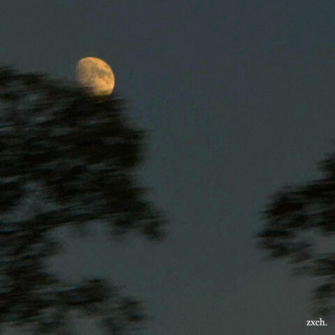 zxch., Cafuné cover, tek it lo-fi, i watched the moon remix, melancholic lo-fi music