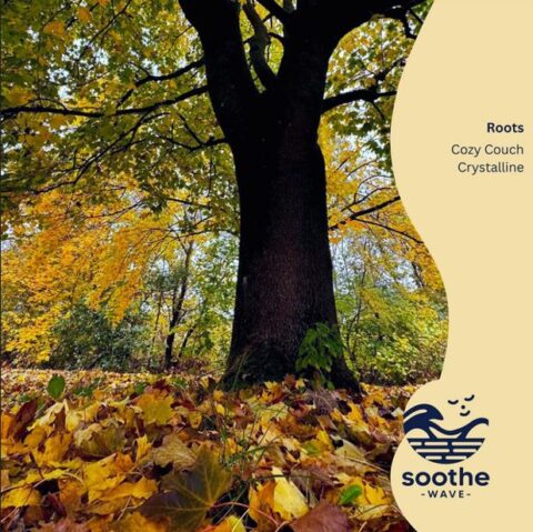 Crystalline Roots cover art, atmospheric nature-inspired lo-fi aesthetic with warm sunset vibes.