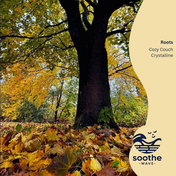 Crystalline Roots cover art, atmospheric nature-inspired lo-fi aesthetic with warm sunset vibes.