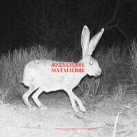 Mataliebre Cirrus EP Luz cover art, featuring desert-inspired nomadic and tribal ambient aesthetics.