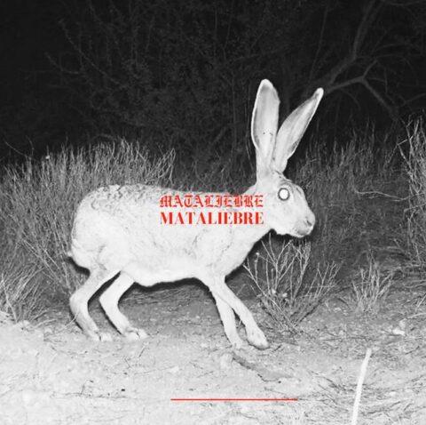 Mataliebre Cirrus EP Luz cover art, featuring desert-inspired nomadic and tribal ambient aesthetics.