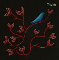 Ethereal and misty cover art for Tapio by Van Sur Les featuring Emmi Kuittinen