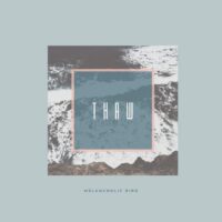 Atmospheric and moody cover art for Thaw by Melancholic Bird, featuring a sense of seasonal transition and introspection.