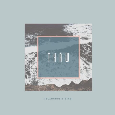 Atmospheric and moody cover art for Thaw by Melancholic Bird, featuring a sense of seasonal transition and introspection.