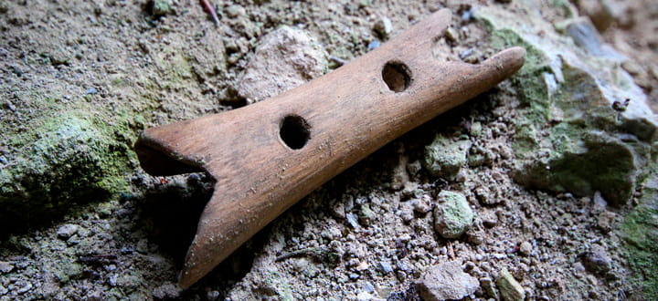 flute from the Divje Babe cave