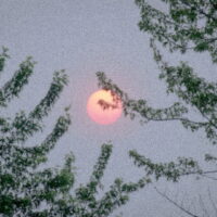 A bright yellow smiley face on a grainy, warm-toned background, reflecting the nostalgic lo-fi mood of It's Rodney's track.