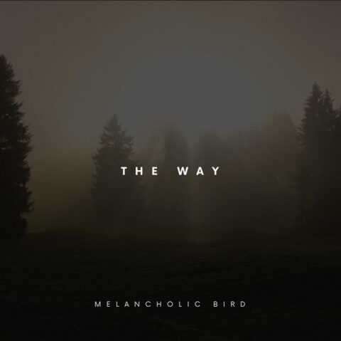 Atmospheric nature-inspired cover art for The Way by Melancholic Bird.