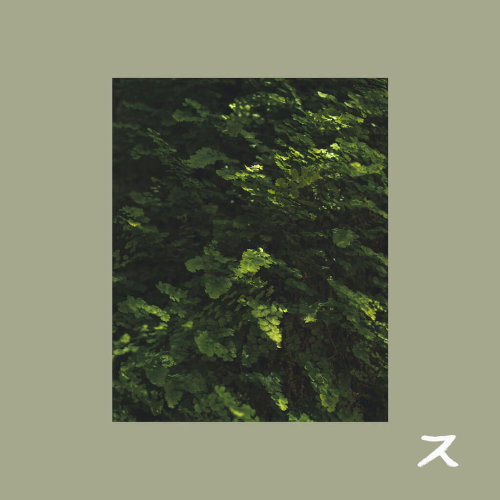 A close-up of a handpan being played in a sunlit garden, symbolizing the organic and meditative mood of the track "Flow."