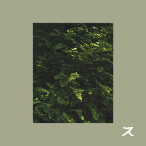 A close-up of a handpan being played in a sunlit garden, symbolizing the organic and meditative mood of the track "Flow."