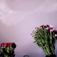 Dreamy and warm aesthetic cover art for Sun Kissed You by slowmo.shon, capturing the transition from shadows to sunlight.