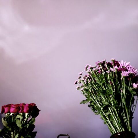 Dreamy and warm aesthetic cover art for Sun Kissed You by slowmo.shon, capturing the transition from shadows to sunlight.