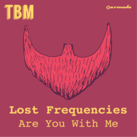 Lost Frequencies Are You With Me single cover or a night beach scene with blue string lights and Mexican sky.