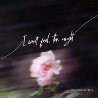 Dark, cinematic cover art for Melancholic Bird's I Can't Feel the Night, evoking a sense of nocturnal solitude.
