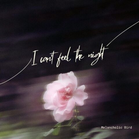 Dark, cinematic cover art for Melancholic Bird's I Can't Feel the Night, evoking a sense of nocturnal solitude.