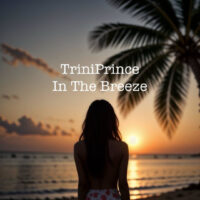 Sun-soaked cover art for TriniPrince - In The Breeze, reflecting warm and nostalgic electronic music vibes.